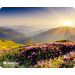 Коврик для мыши Defender Silk Pad Nature 230x190x1.6 мм, 10 видов