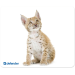 Коврик для мыши Defender Silk 230x190x1.6 мм, 10 видов