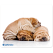 Коврик для мыши Defender Silk 230x190x1.6 мм, 10 видов