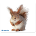 Коврик для мыши Defender Silk 230x190x1.6 мм, 10 видов