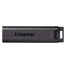 Накопитель USB Flash Drive Kingston 256GB DataTraveler, черный