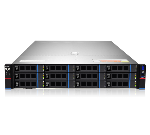 Серверная платформа Gooxi SL201-D12R-NV-G3  2U