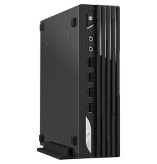 Персональный компьютер MSI PRO DP21 13M 9S6-B0A421-665