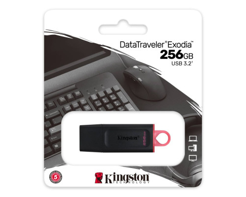 USB накопитель 256GB Kingston DataTraveler Exodia, USB 3.2, черный/красный USB накопитель 256GB Kingston DataTraveler Exodia, USB 3.2, черный/красный