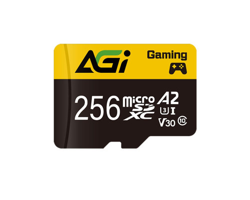 Карта памяти microSDXC 256GB AGI AGI256GGSTF138 UHS-I Class 10 /V30/A2, с адаптером Карта памяти microSDXC 256GB AGI AGI256GGSTF138 UHS-I Class 10 /V30/A2, с адаптером