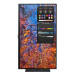 Монитор SAMSUNG S32B800PXI (32")