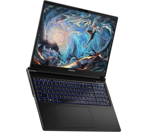 Ноутбук Colorful EVOL X16 Pro 23 Intel Core i7-13700H/16Gb/SSD512Gb/RTX4060 8Gb/16"/IPS/QHD+/240Hz/NoOS/Black (A10205400059)