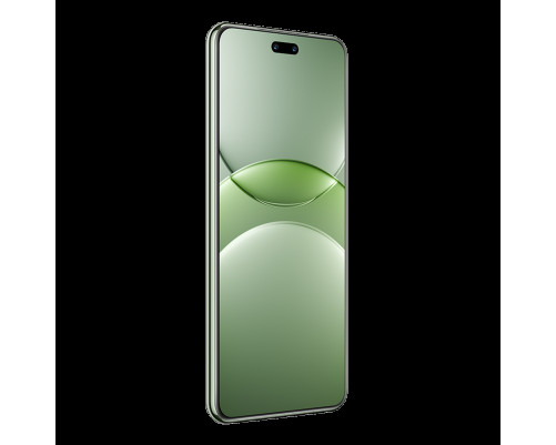 Смартфон Huawei Nova 13 Pro 12+512 Gb Green (51098DCG)