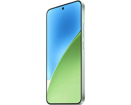 Смартфон Xiaomi 15 12+512Gb зеленый (MZB0IUTRU)