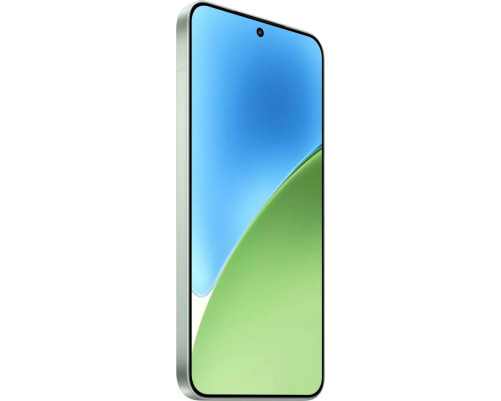 Смартфон Xiaomi 15 12+512Gb зеленый (MZB0IUTRU)