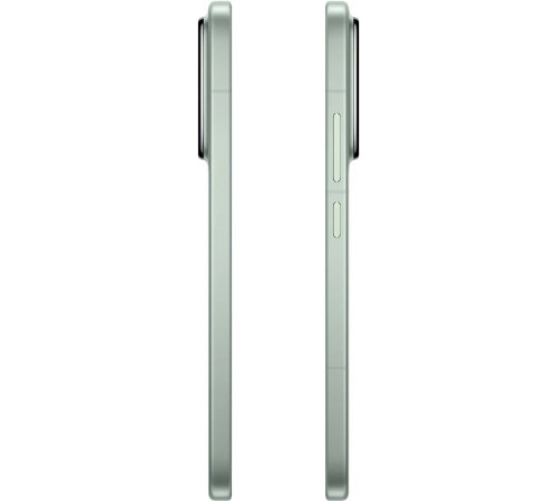 Смартфон Xiaomi 15 12+512GB, зеленый (MZB0IUTRU)