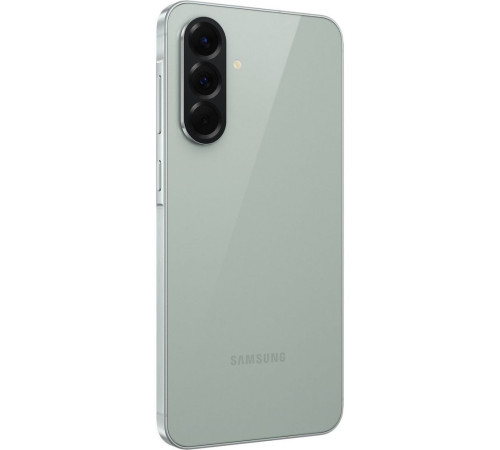Смартфон Samsung Galaxy A56 SM-A566E 8+256GB, оливковый (SM-A566EZGCCAU)