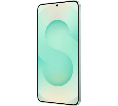 Смартфон Samsung Galaxy S25+ 12+512GB, мятный (SM-S936BLGCCAC)