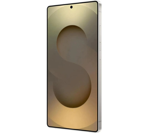 Смартфон Samsung Galaxy S25 Ultra SM-S938B 12+256GB, серый титан (SM-S938BZTBCAU)