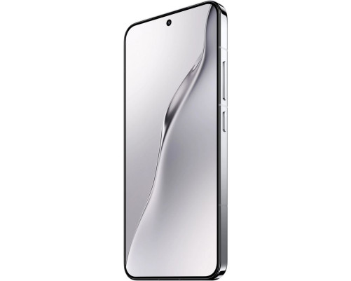 Смартфон Xiaomi 15 12+512GB, серебристый (MZB0IT1RU) Смартфон Xiaomi 15 12+512GB, серебристый (MZB0IT1RU)
