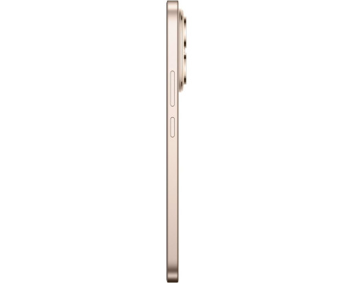 Смартфон HONOR 400 12+512GB, золотой (5109BURL) Смартфон HONOR 400 12+512GB, золотой (5109BURL)